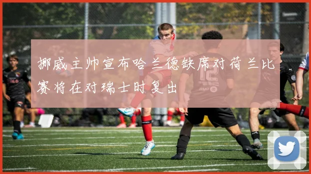 挪威主帅宣布哈兰德缺席对荷兰比赛将在对瑞士时复出