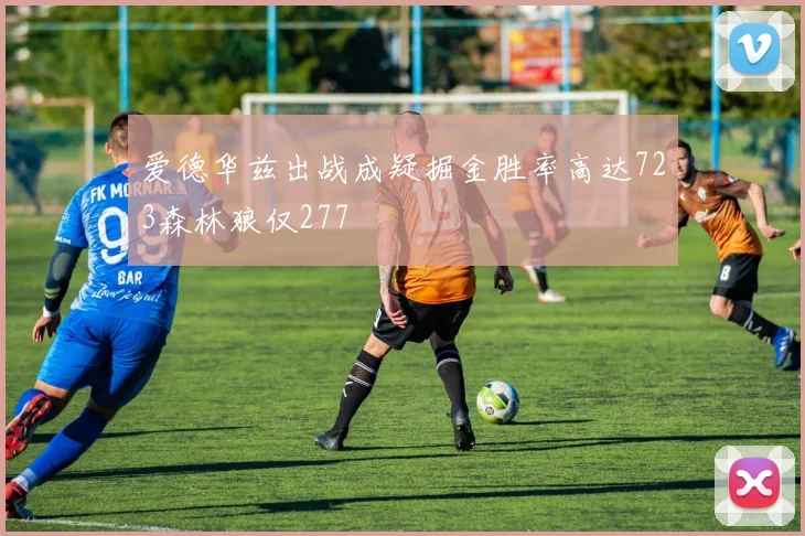 爱德华兹出战成疑掘金胜率高达723森林狼仅277